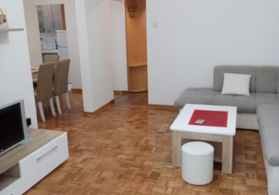 1-sitting-room-Celebonovica-Bezanija-Beograd-flat-sale-tenanted-Expo-2027-prodaja-sa-zakupcima-tenanted-invest-estate-property-bitcoin-Serbia-Copy-Copy-1